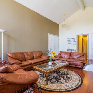 A cozy living room featuring leather sofas and a decorative coffee table on a circular rug.