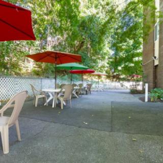 A serene outdoor patio area with tables, chairs, and umbrellas surrounded by greenery.