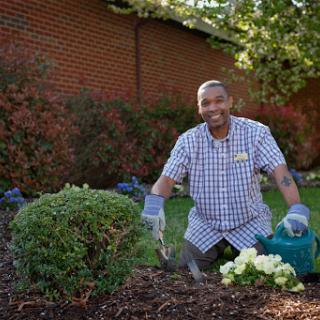 A man enjoys his time gardening, surrounded by lush greenery and flowers.