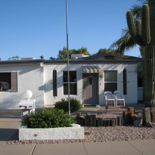 A small desert home with a cactus and palm tree in the front yard.