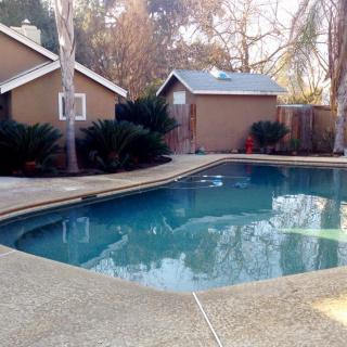 A serene backyard with a swimming pool and surrounding trees.