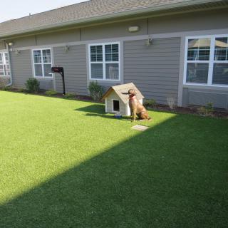 A dog near a small doghouse in a sunny backyard with green grass.
