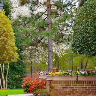 A beautiful garden landscape featuring a variety of trees and colorful flowers bordered by a brick wall.