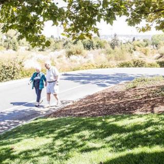 An elderly couple enjoys a sunny walk in the park.