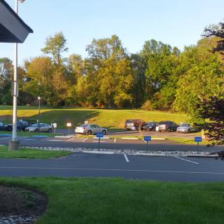 A parking lot with several cars is surrounded by lush green trees and grass under the warm sunlight.