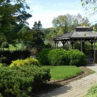 A serene garden with a wooden gazebo surrounded by lush greenery and a brick pathway.
