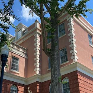 A beautiful architectural building surrounded by greenery against a clear blue sky.