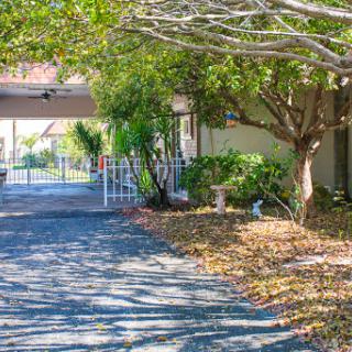 A serene driveway lined with lush trees, inviting a peaceful atmosphere.