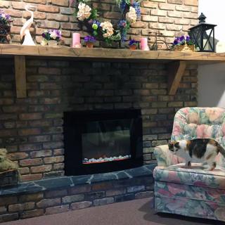 A cozy living room with a brick fireplace, floral decorations on the mantel, a patterned chair, and a cat perched on the armrest.