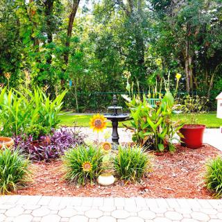 A vibrant garden with a central fountain surrounded by lush greenery and colorful flowers.