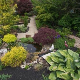 A beautifully landscaped garden with a variety of plants, a small pond, and winding pathways.