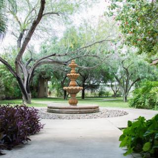 A serene garden featuring a beautiful fountain surrounded by lush greenery.