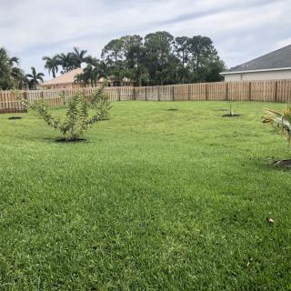 A spacious backyard with a well-maintained lawn and several small trees, enclosed by a wooden fence.