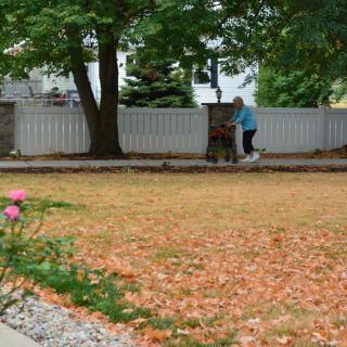 A person walks along a path covered with autumn leaves near a white fence and trees.