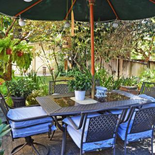 A cozy outdoor patio setup with a table and chairs under a large umbrella, surrounded by lush garden plants.