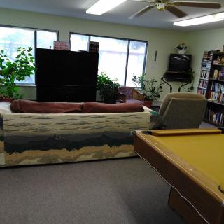 A cozy living room with a couch, large television, and pool table, surrounded by bookshelves and plants.