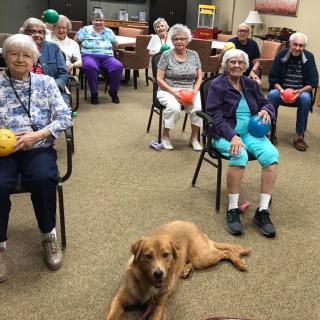 A group of seniors sitting in chairs with exercise balls, accompanied by a therapy dog indoors.