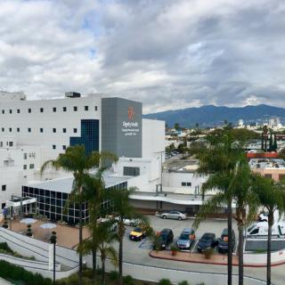 A modern hospital building with palm trees in the foreground under a cloudy sky.
