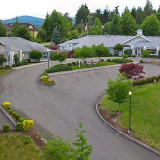 A residential area with buildings surrounded by lush greenery and a winding driveway.