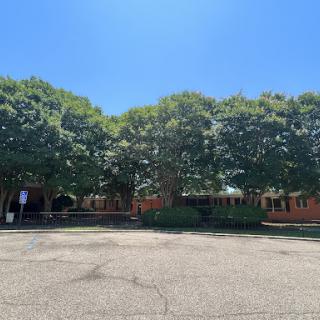 A sunny day with a clear blue sky illuminating a parking lot surrounded by lush trees and a building.