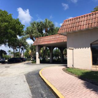 A sunny driveway entrance with palm trees and a building featuring an arched design.