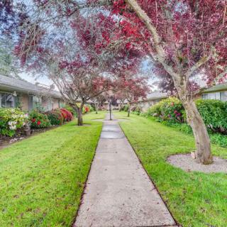 A picturesque pathway lined with vibrant trees and lush greenery.
