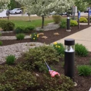 A landscaped garden with a pathway, featuring bushes and lamp posts.
