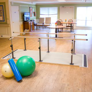 A physical therapy room equipped with parallel bars and exercise balls.