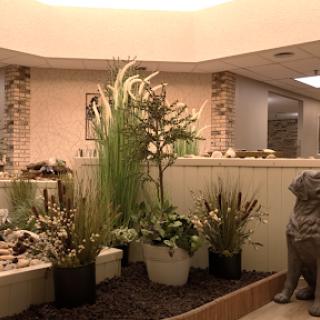 A serene indoor garden featuring decorative plants and a calming fountain, enhancing the modern interior space.