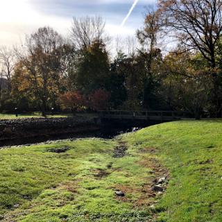 A tranquil autumn scene showcasing a dry waterway surrounded by lush greenery and trees.