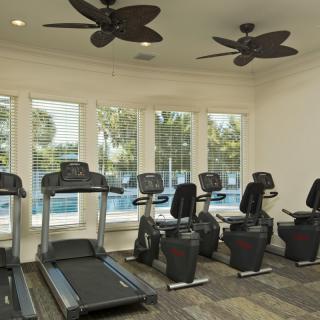 A well-lit gym with treadmills and stationary bikes facing large windows.