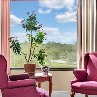 A cozy sitting area with two pink chairs, a small table with potted plants, and a large window showcasing a scenic view.