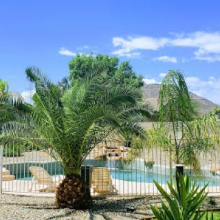 A serene outdoor pool area surrounded by palm trees and a clear blue sky, perfect for relaxation.