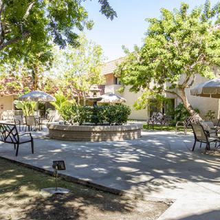 A sunny outdoor patio area with tables, chairs, and surrounding trees.