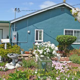 A quaint blue house with a beautifully landscaped garden full of various flowers.
