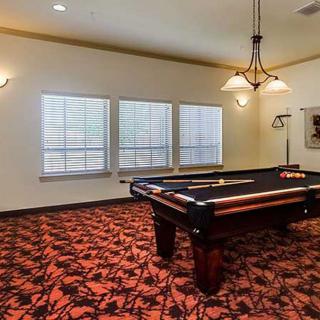 Vitality Court Texas Star