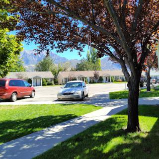 A sunny day in a residential neighborhood featuring parked cars along the street and a tree providing shade.