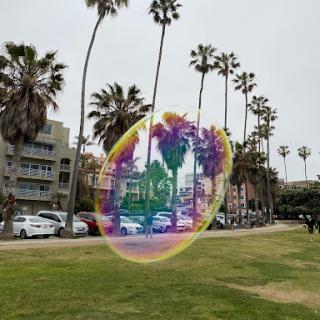 A surreal view of a park with palm trees, enhanced by a colorful bubble effect.