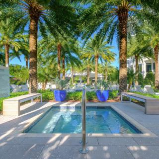 A luxurious outdoor pool surrounded by palm trees, creating a tropical resort ambiance.