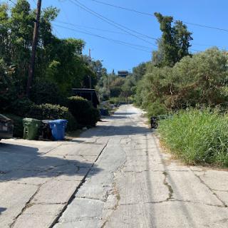 A serene, overgrown alleyway on a sunny day.