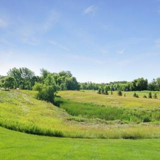 A scenic view of a lush green field with trees under a clear blue sky.