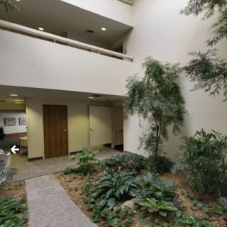 An office atrium featuring a well-maintained indoor garden with lush plants.