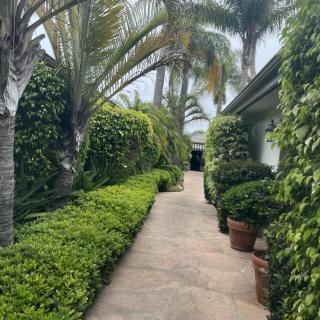 A lush garden pathway surrounded by vibrant greenery and palm trees.