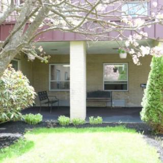 A tranquil garden patio with a bench surrounded by lush greenery and blooming trees.