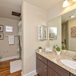 A modern bathroom with a granite countertop, decorative plants, and a walk-in shower.