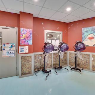 A vibrant and modern hair salon interior featuring hairdryers and colorful artwork.