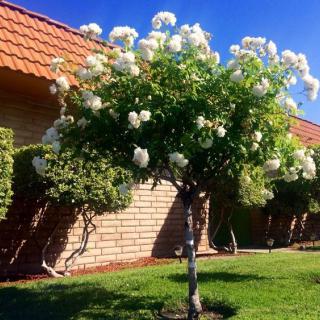 Valley House Rehabilitation Center
