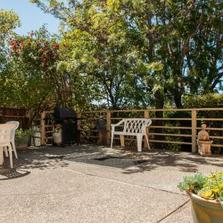 A sunny patio with outdoor seating, surrounded by trees and a wooden fence.