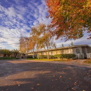 A picturesque view of an autumn scene featuring colorful trees and a serene building under a beautiful sky.