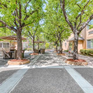 A scenic outdoor area with a tree-lined pathway flanked by benches and buildings.